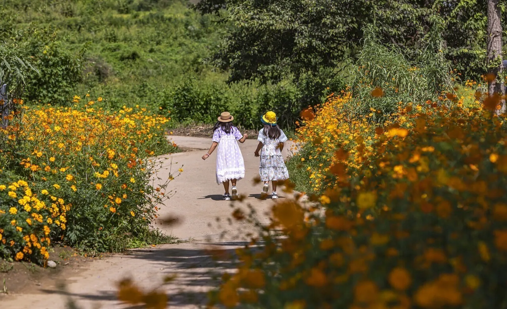 Zwei Kinder spazieren durch einen Park mit Blumen