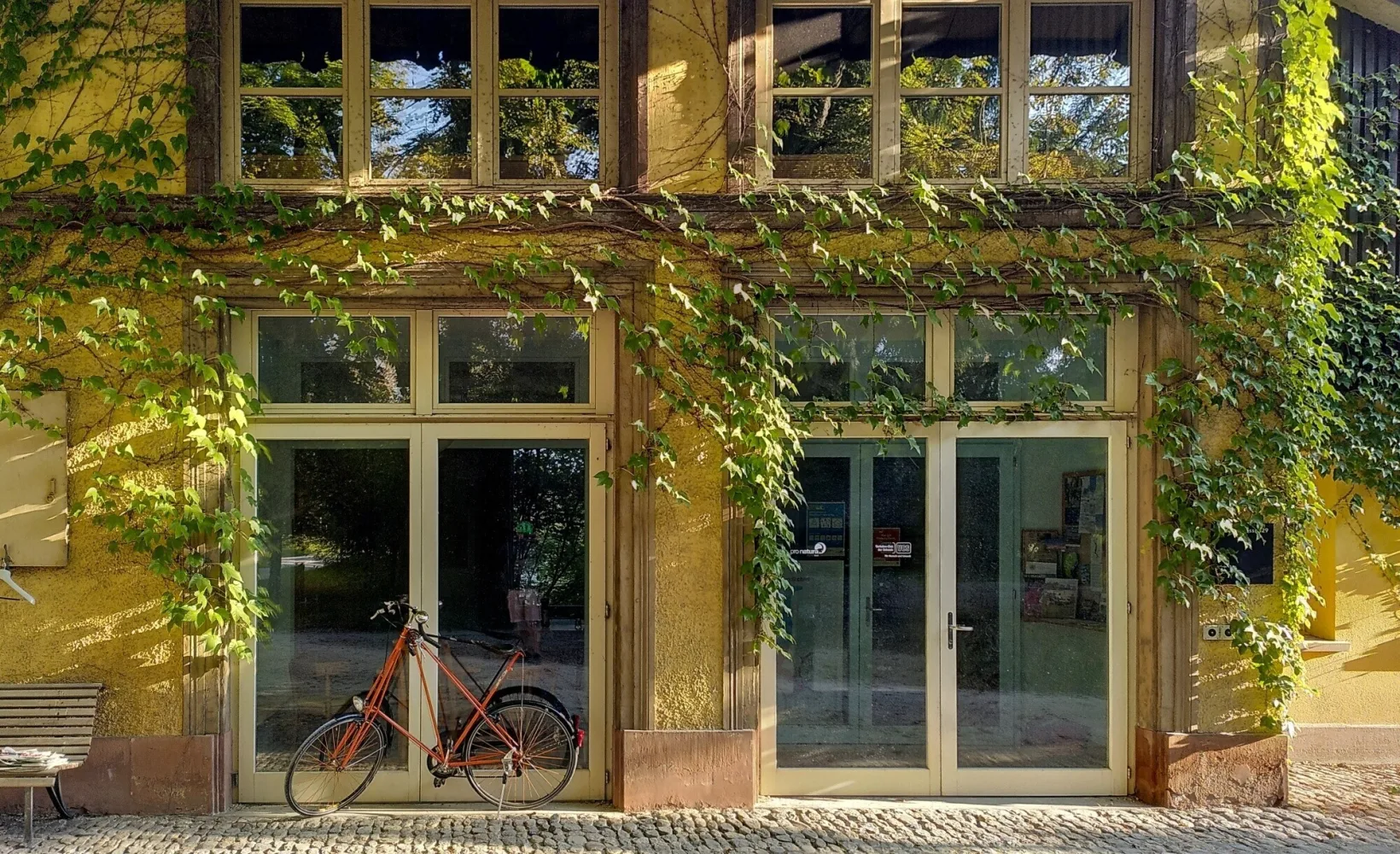 Pedersen-Velo vor dem Eingang der mit Reben bewachsenen Remise Gellertgut
