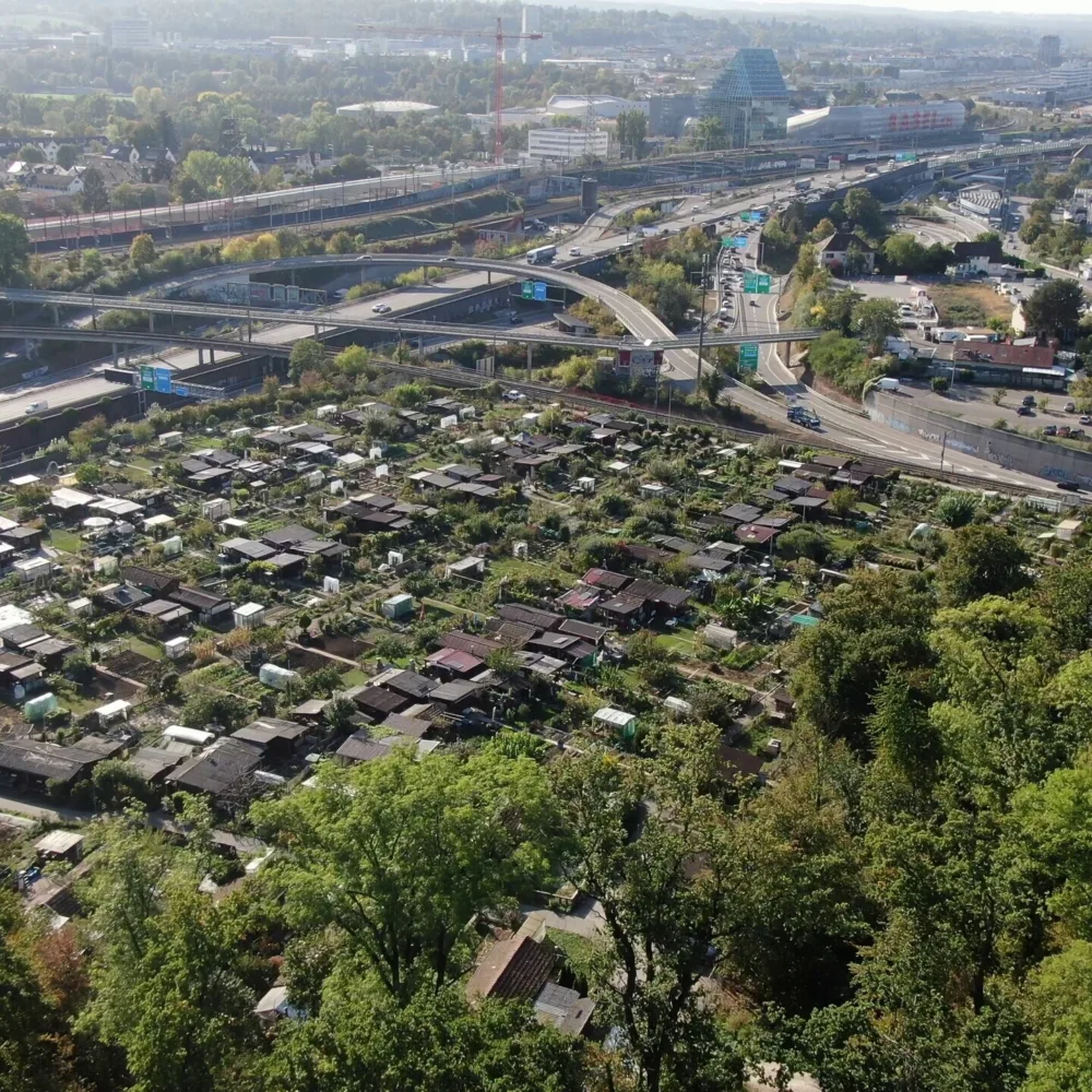 Verzweigung Hagnau Familiengaerten Hardwald