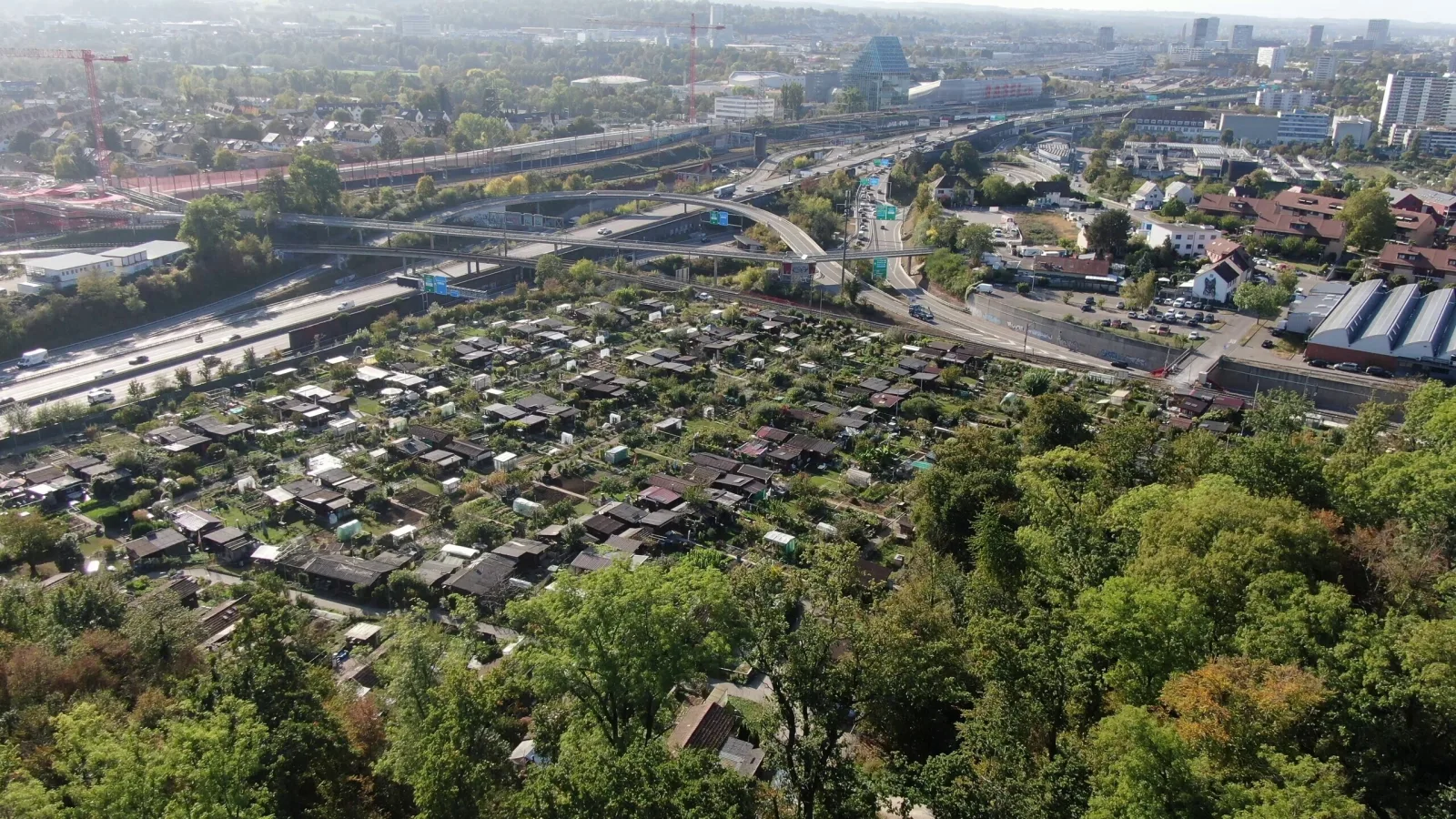 Verzweigung Hagnau Familiengaerten Hardwald