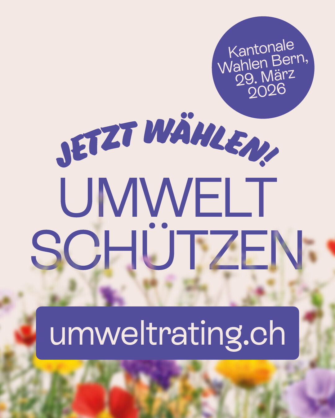 WWF Umweltorganisationen 1080x1350px DE