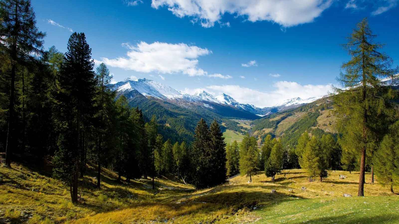 540 2 Startseite c Switzerland Bafu Roland Gerth