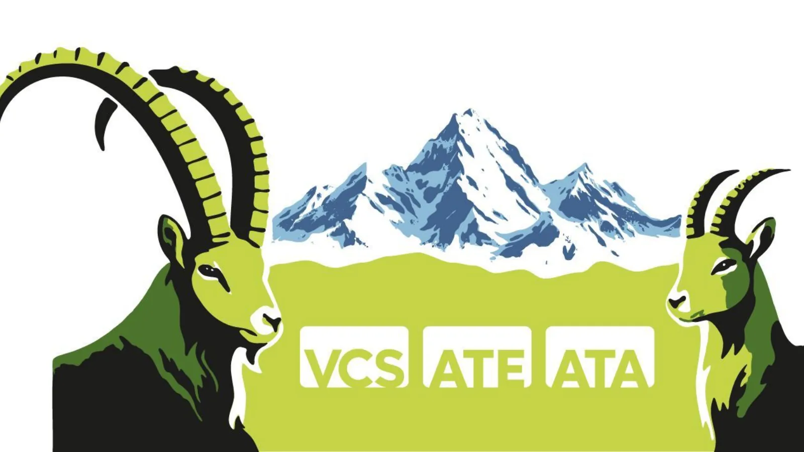 Logo vcs