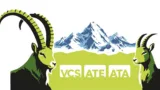 Logo vcs