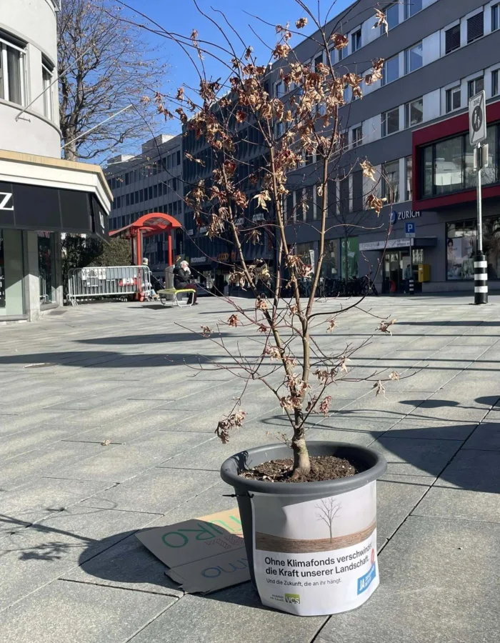 644219275 10162816277553526 2895979219473633683 n