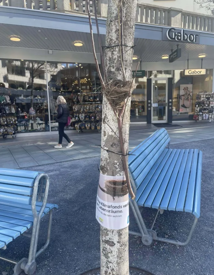 647287559 10162816277853526 2479833366462130085 n