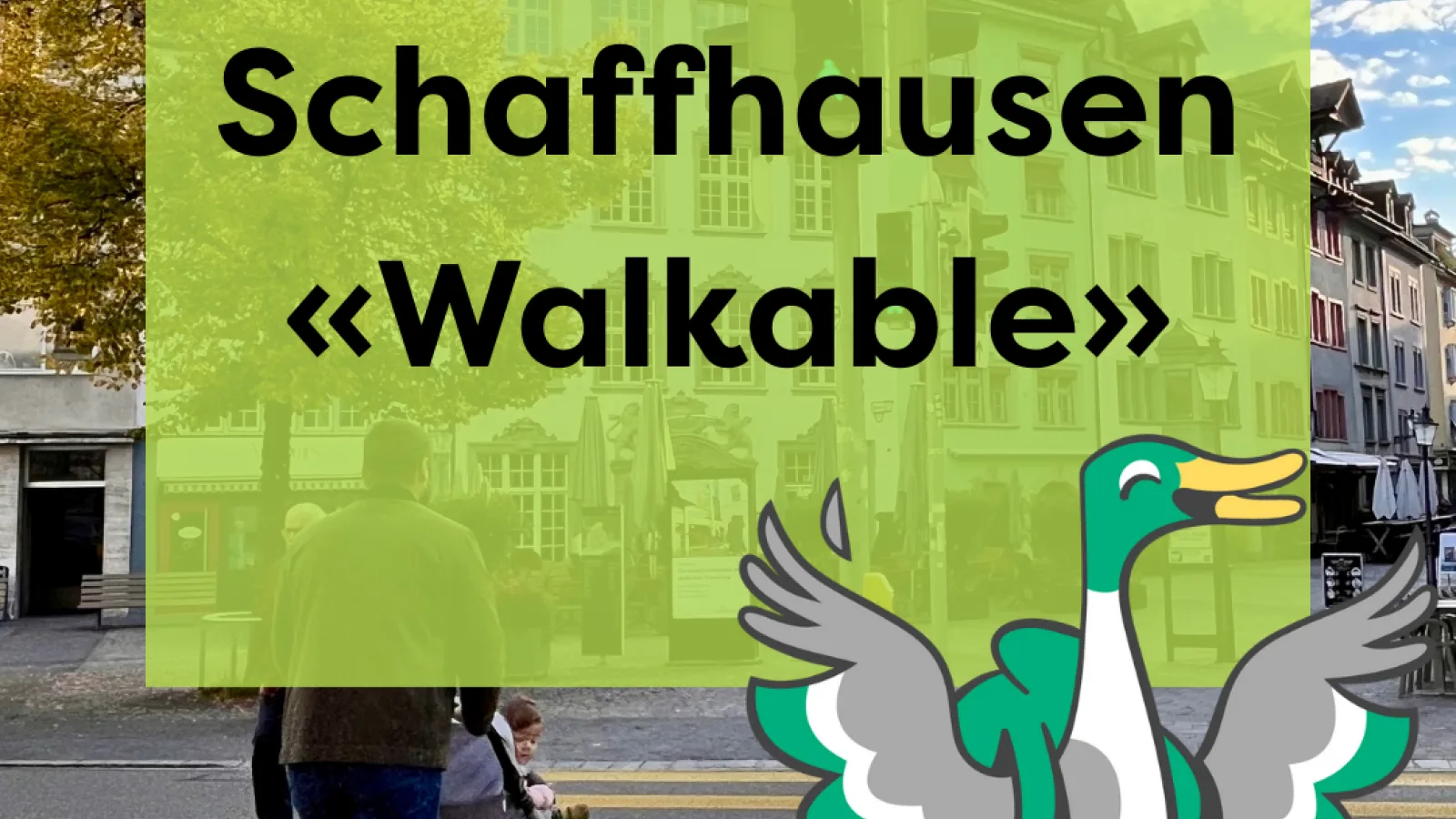 Mache Schaffhausen Walkable
