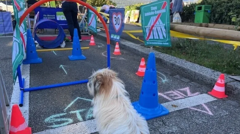 Hund vor einem Spielparcours mit Tempo 30 Fahne