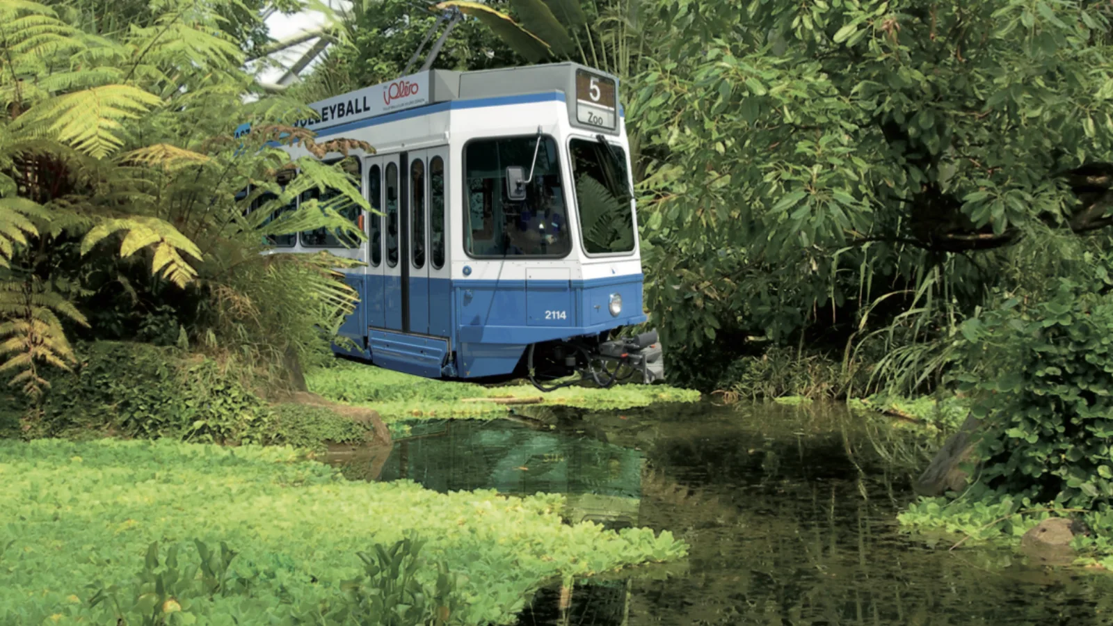 Zootram