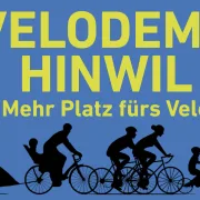 Veldemo Hinwil