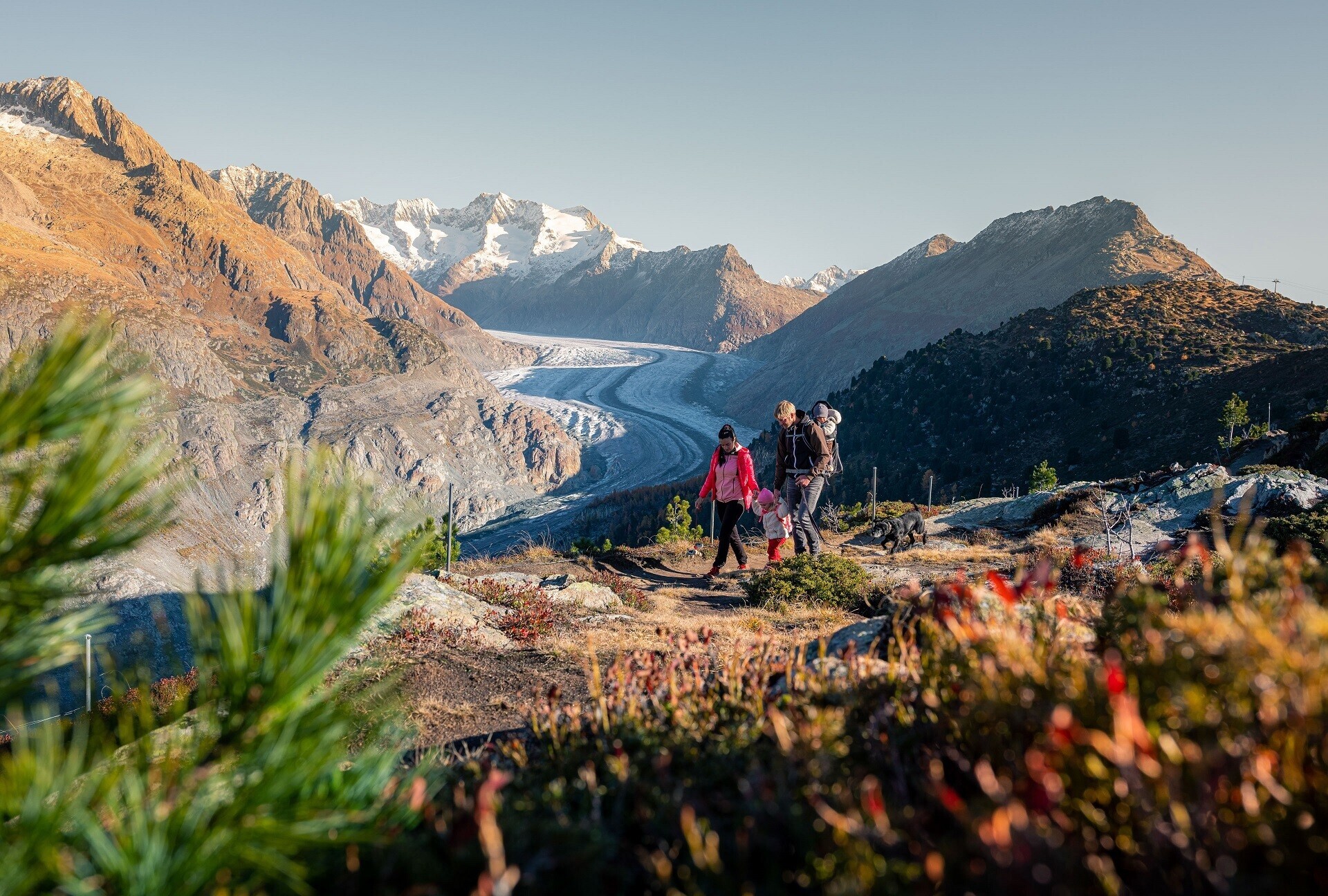 Herbstwanderung familie sommer aletsch arena