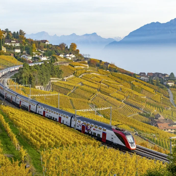 Zug Rebberge Schnupper-Halbtax SBB