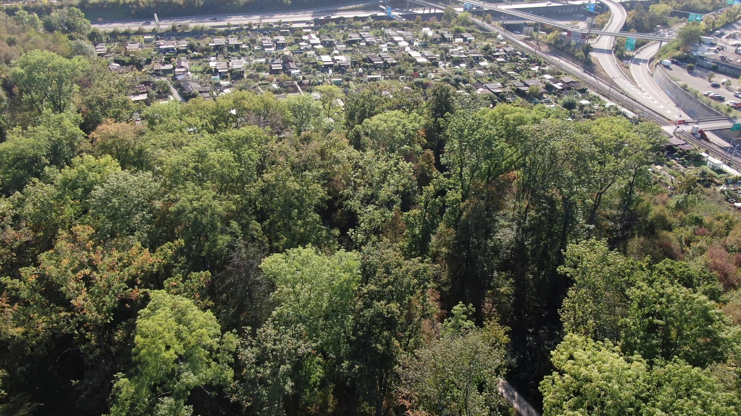 Basel Hardwald Scheuerrain Hagnau Nein zum Autobahn-Ausbau