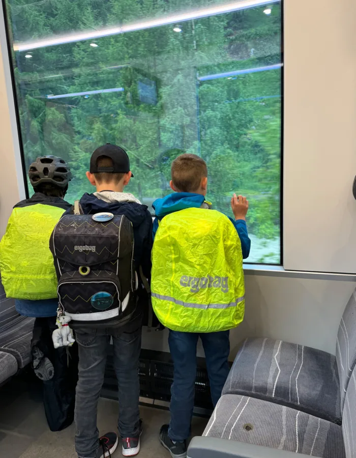 Schulweg Pedibus Zug Wallis