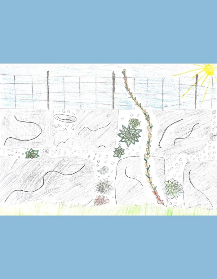 Liana Pop Malwettbewerb walk to school