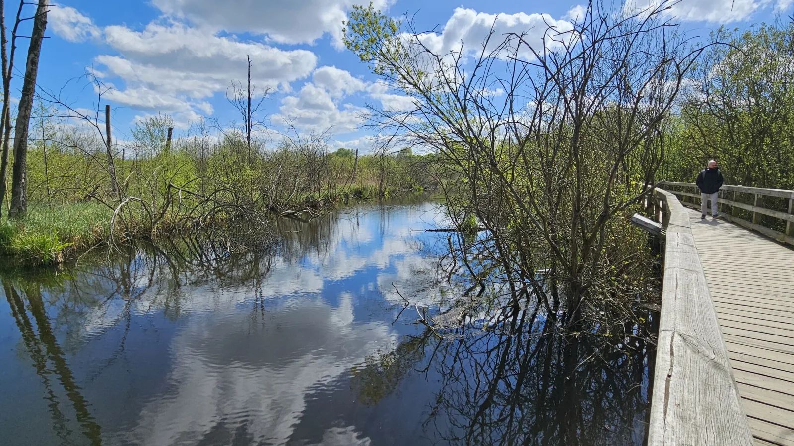 Wanderung in Berlin Eichwerder Steg