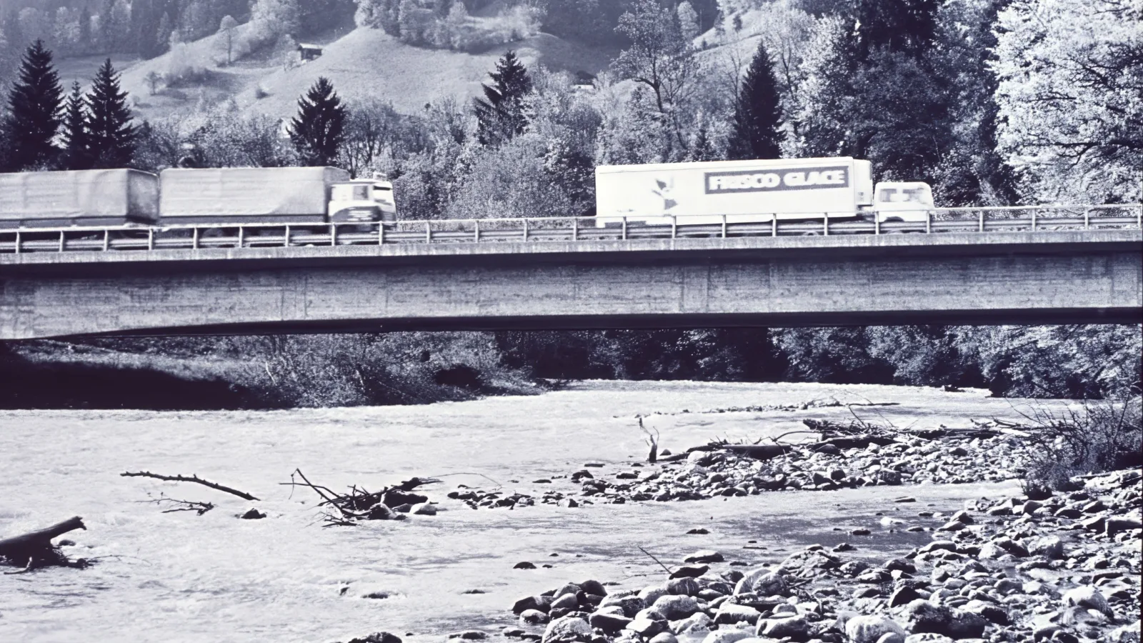 Simmental nachher 2