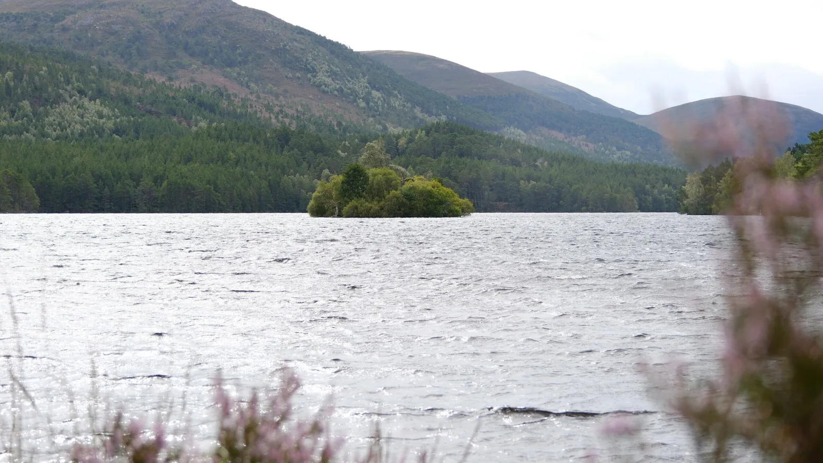 Reisen Schottland Loch An Eilein