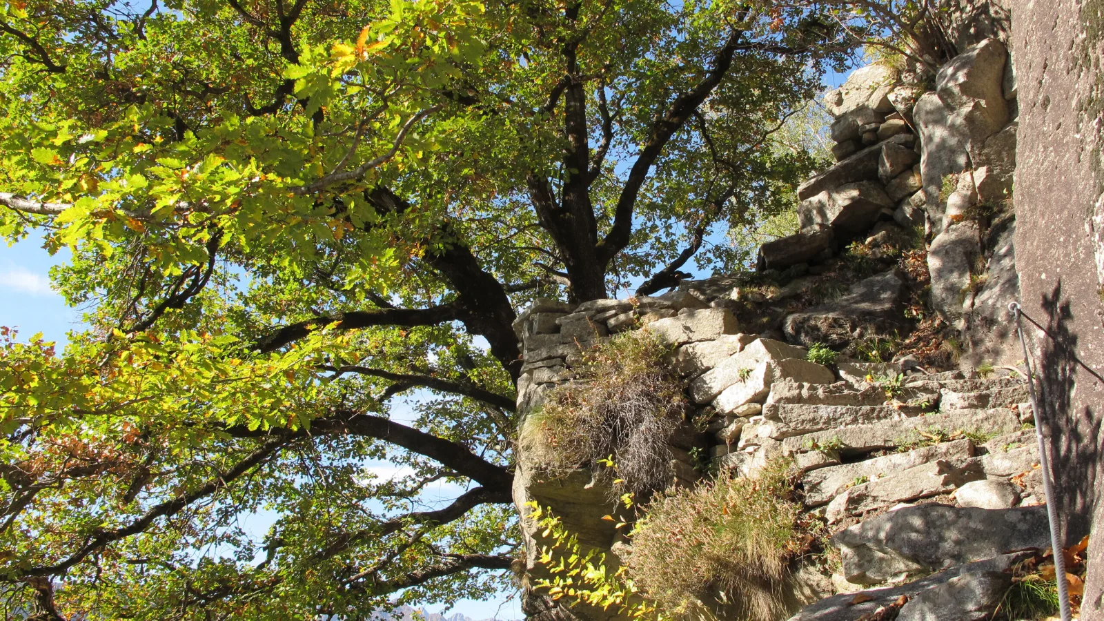 VCS Magazin Reisebericht Biasca Alp Chierisgéu