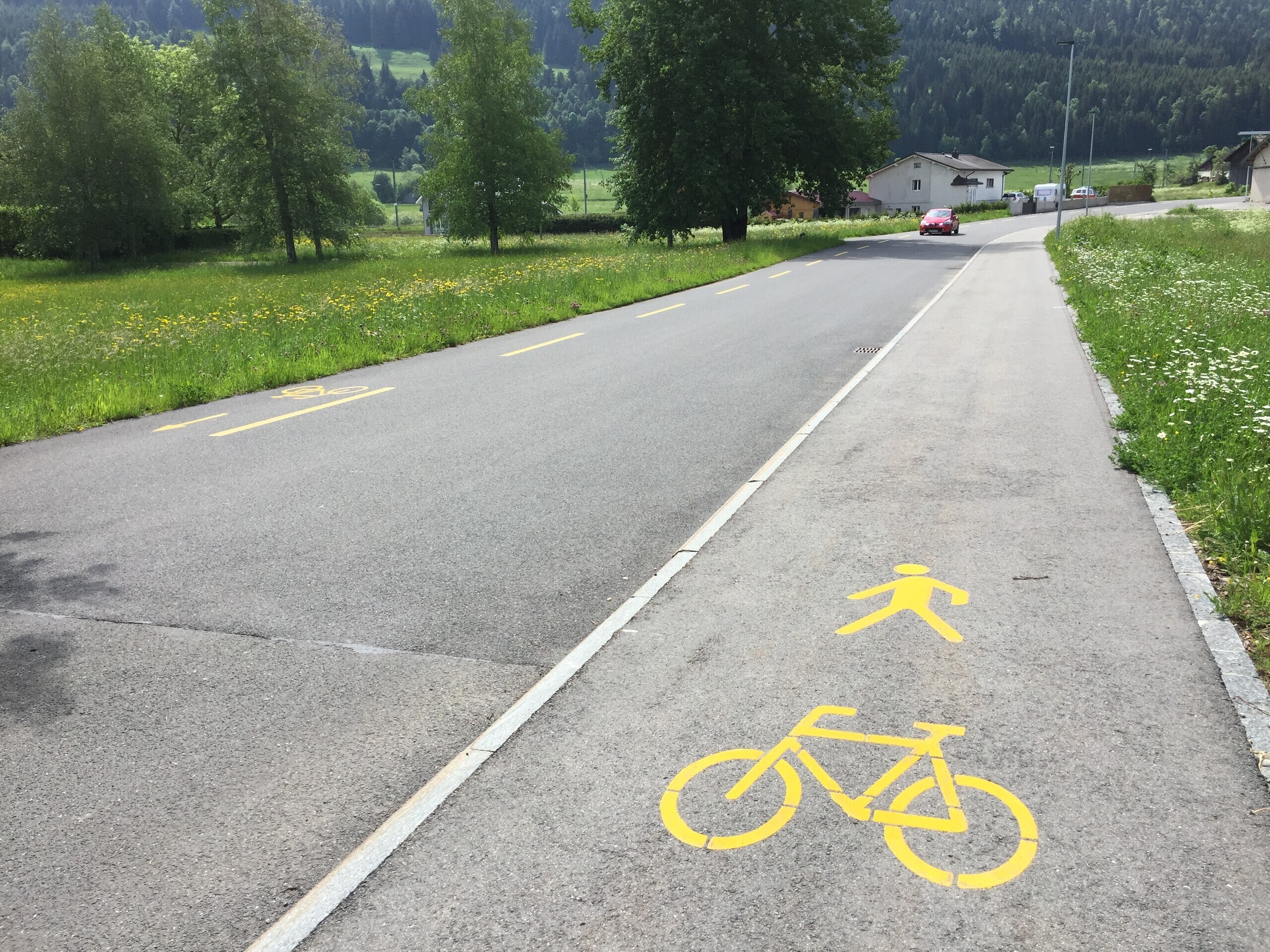 Mischverkehr Velo Fussgänger VCS-Position